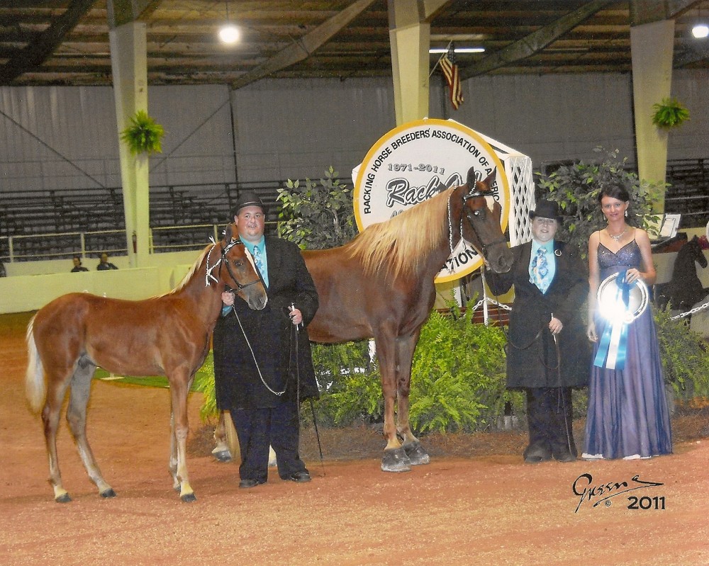 The National Futurity Racking Horse Breeders Association of America