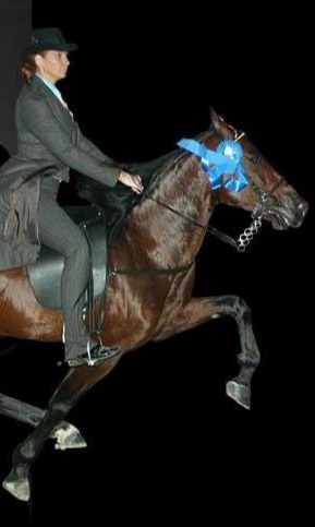 Racking Horse Breeders