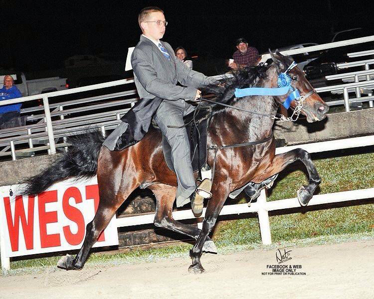 Racking Horse Breeders