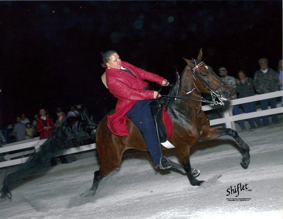 A Racking Horse and rider at night in the show ring