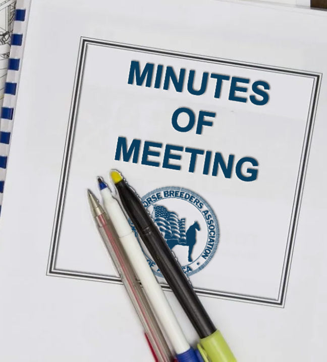 Minutes of Meetings