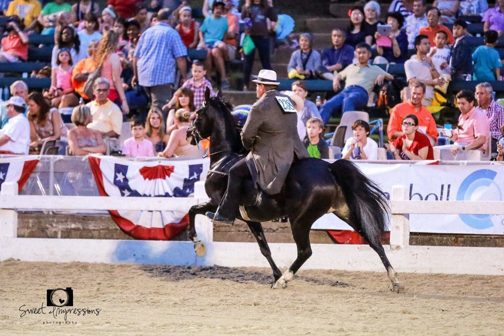 A Racking Horse and rider in front of a packed grandstand