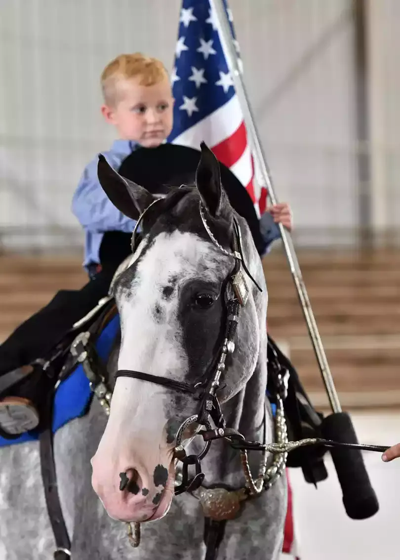 Racking Horse Breeders